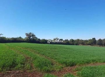 0d5ec2853ef9fb1ad25fb5619eeebd48af52bd22 · Chácara à venda, 10.000 m² por R$ 890.000 - Fazenda Nata - Londrina/PR