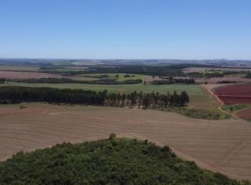 Foto 01 · Fazenda à venda em Itaí-SP, na Área Rural, com 1 quarto, 1 banheiro e 1.379.400,00 m² de área. Venha
