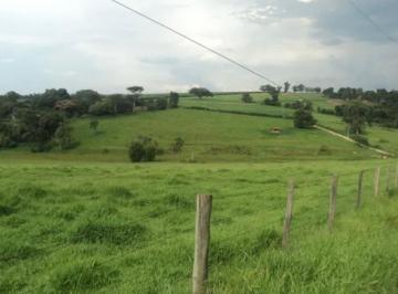 Foto 01 · Sitio a Venda em Boituva a 1km da Castelo Branco
