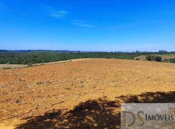 Foto 01 · SÍTIO COM GRANJA A VENDA NA REGIÃO DE ITAPETININGA-SP, COM 30 ALQUEIRES DE ÁREA TOTAL, GRANJA, LAVOU