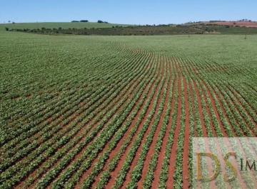 Foto 01 · EXCELENTE FAZENDA A VENDA EM ITAÍ-SP, ÁREA TOTAL DE 50 ALQUEIRES, TERRA VERMELHA, TOPOGRAFIA PLANA
