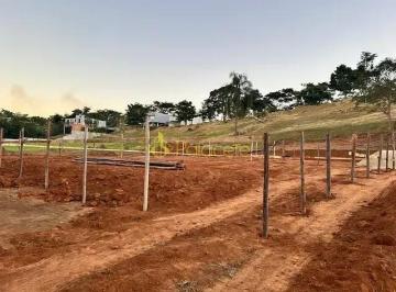 3164306428421351716997822632.webp · Terreno à venda, Marlene Miranda, Taubaté, SP