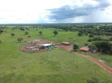 dea91f90cda8e2a0de330432500856eb9ebc7424 · Fazenda com 4 dormitórios à venda, 39224913 m² por R$ 200.000.000,00 - Centro - Bonópolis/GO