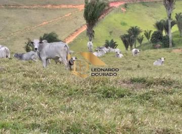 Foto 01 · Fazenda, Dividido Entre 2 Municípios, Guaratinga, BA