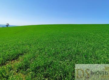 Foto 01 · FAZENDA A VENDA EM CAPÃO BONITO/SP, 136 ALQUEIRES NO TOTAL, TERRA MISTA A VERMELHA, AÇUDE, NASCENTES
