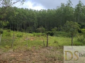 Foto 01 · FAZENDA COM EUCALIPTO NA REGIÃO DE GUARATINGUETÁ/SP, COM ÁREA TOTAL DE 241,88 ALQUEIRES, ÓTIMA LOGIS
