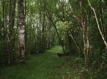 terreno · Terreno, Santo Antonio do Rio Grande, Bocaina de Minas, MG