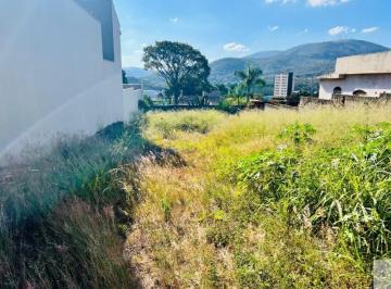 Foto 01 · LOTE 536 METROS PLANO, CENTRO MATEUS LEME