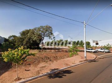 Terreno · 370m² · Terreno em Alto da Boa Vista 370m² ótima localização - Ribeirão Preto