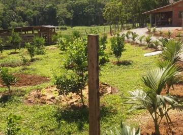 Rural · 20000m² · 4 Quartos · 2 Vagas · Sítio à venda no bairro Dona Clara - Timbó/SC