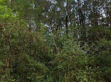 Terreno , Viamão · 13.5 ha, chácara e muito investimento, etc...