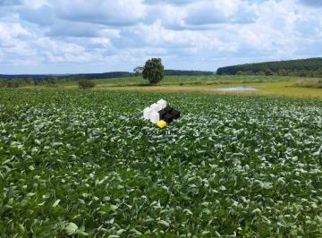 Rural · Fazenda Área Rural a Venda em São Gabriel RS