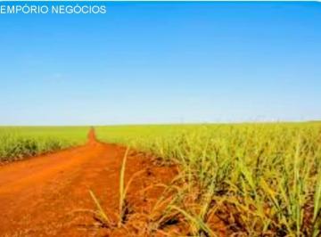 Foto 01 · Fazenda venda. Empório Negócios vende fazenda cana e pecuária na região Centro-Oeste de Minas Gerais