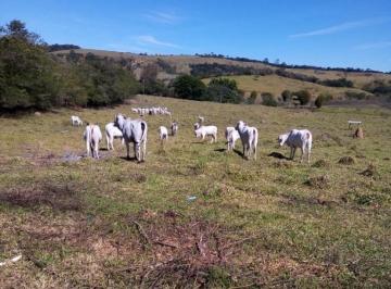 iW3Qf4G6753WM4z5on6_5476491dbae4f613_TgyMmU2NTZkZWI2_o.jpg · Fazenda / Sítios / Chácaras com 3 quartos à venda em Campo Belo, no bairro Bem Viver