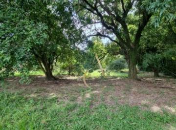 e43fe0d80eef8fb472ac2e1efbddf0b6ced4b842 · 3 TERRENOS PARA VENDA - BAIRRO INCONFIDÊNCIA - NOVA IGUAÇU