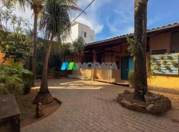 7229_iZ554RwBwY8ld_7229667ac5b0efecf.jpg · Imoveis - em Nova Suíssa