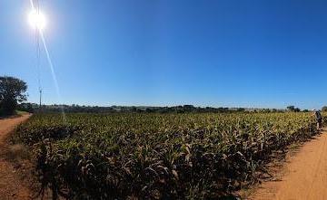 7a052577792faa4b12c02e10d91cd9f2fcb4aef4 · Sítio à venda, 77682 m² por R$ 1.200.000,00 - Zona Rural - Conchal/SP