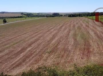 172f5529a847efbfff868656249050daf84c0307 · Ótima fazenda em Itaí com 50 Alq