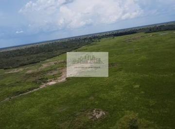 Rural · 2995m² · 4 Quartos · Fazenda com 2.995 hecteres em Porto Murtinho