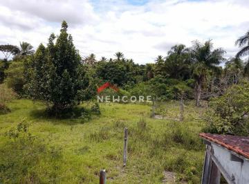 Rural · 8950m² · 3 Quartos · Chácara em  Rua Bernardino Souza - Areial- Rua do Granjão - Amélia Rodrigues/BA