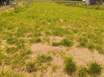Terreno · 1312m² · Terreno a 200m da RS 040!