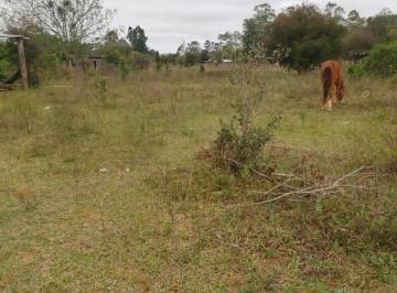 Terreno · 1250m² · Terreno Com 1.250M² Fora de condomínio, Aguas claras/Viamão!