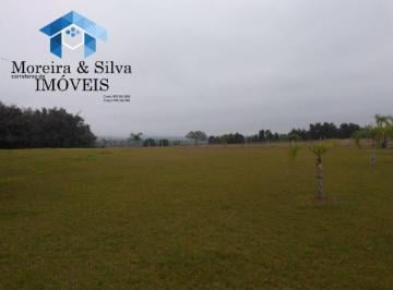 Terreno · 4000m² · Terrenão Com 4.000M², Fora de Condomínio!