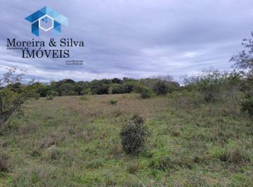 Rural · 69756m² · Excelente 6,9 há , Próximo a RS 040 e Plano