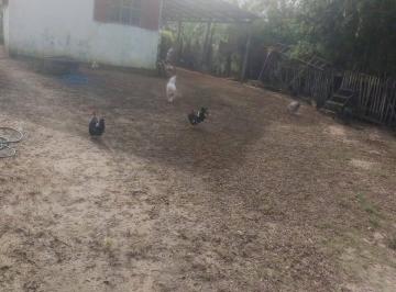 Casa · 300m² · 1 Quarto · Casa simples, Capão da porteira!