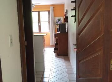 Apartamento de 1 quarto, Miguel Pereira · quitinete no centro