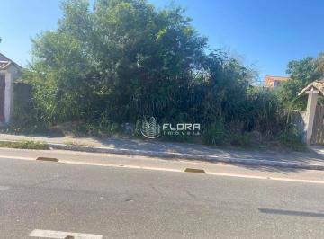 d7a51eb7c14e5e053d0538853bdb1da3aaecc883 · Terreno à venda, 480 m² por R$ 240.000,00 - Jardim Atlântico Central (Itaipuaçu) - Maricá/RJ