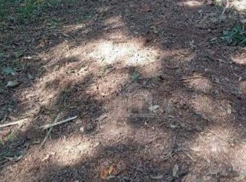 9d91dbd504c007f600d4a12702e8259ac35ed339 · Terreno à venda, 33753 m² no Colônia (Zona Sul)