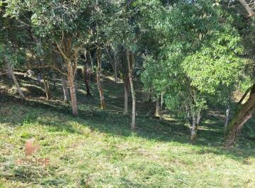 595135e2fb178bf479b1e7c6deb5f115a55a8ed6 · Terreno à venda, 1562 m² por R$ 550.000,00 - Condomínio Reserva Ibirapitanga - Santa Isabel/SP