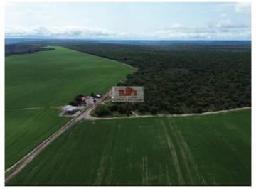 b4c0c0301bb6688101401e28f1eaead6.jpg · Fazenda na região de Balsas, com 6.300 hectares, com casa sede