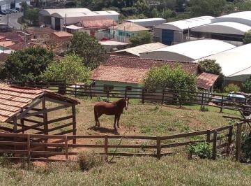 Foto 01 · Sítio, Floresta, Lambari, MG