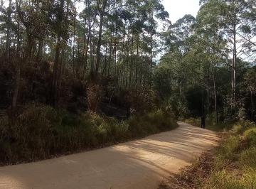Rural , Mairiporã · Terra Preta SP Sitio com 11 Alqueires