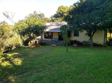 Foto 01 · Sitio, Localidade de Solitária Alta, Igrejinha, RS