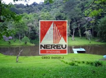 Rural · 7m² · SÍTIO COM PLANTAÇÃO DE PINUS EM SÃO LOURENÇO DA SERRA/SP