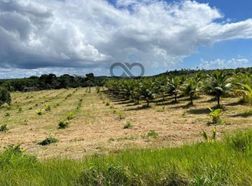 Rural , Canavieiras · FAZENDA GUARÁ DE 436 HA - CANAVIEIRAS/BA 