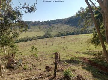 Foto 06 · Sítio - Jacarezinho