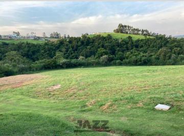 Terreno · 10083m² · Terreno à Venda - Loteamento Residencial Entre Verdes (Sousas), Campinas - 10.083,38m2 - Condomínio 