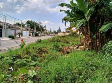 202408121434008476.jpeg · Terreno plano para Venda em São Sebastião, Canto do Mar