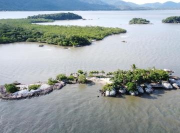 Foto 33 · ILHA DA MURTA BAIA DA BABITONGA SÃO FRANCISCO | 220 M² CONSTRUÍDOS | ÁREA TOTAL 3.560 M²