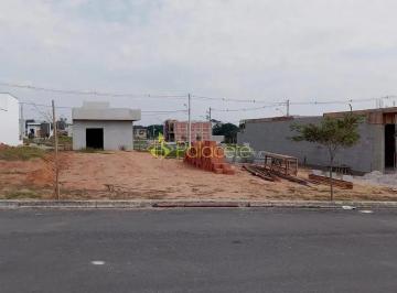 20240628_1154581719866728645.jpg · Terreno à venda, Loteamento Industrial Água Preta, Pindamonhangaba, SP