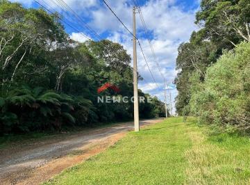 Terreno · 4210m² · Lote em  Avenida Ximangos - Colinas - São Francisco de Paula/RS