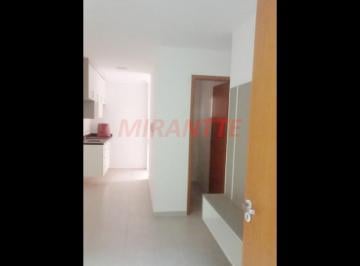 73447411c83fc713c9546875e1507300.jpg · Apartamento de 35m² com 1 quartos