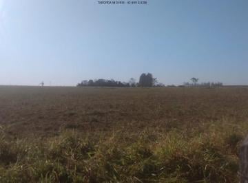 Foto 07 · Sítio - Ribeirão Claro