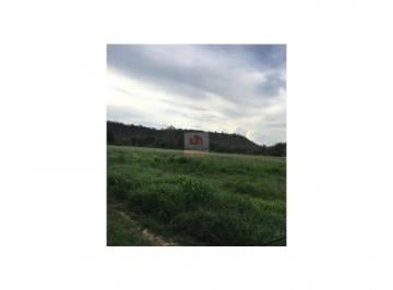 2d7d4e4c5314c9658a337f89babc25a2.jpg · Fazenda com 400 hectares