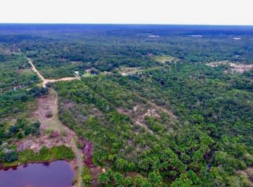 Terreno , Manaus · Terreno BR 174, Km 27 - a venda
