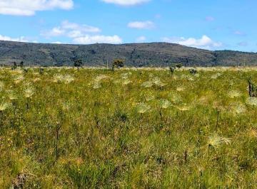 Rural , Alto Paraíso de Goiás · TERRENO COM RIO E VISTA MAGNÍFICA EM ALTO PARAÍSO, NA CHAPADA DOS VEADEIROS